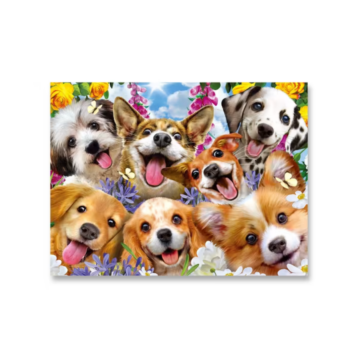 300 Piece Selfies Puzzle - Assorted