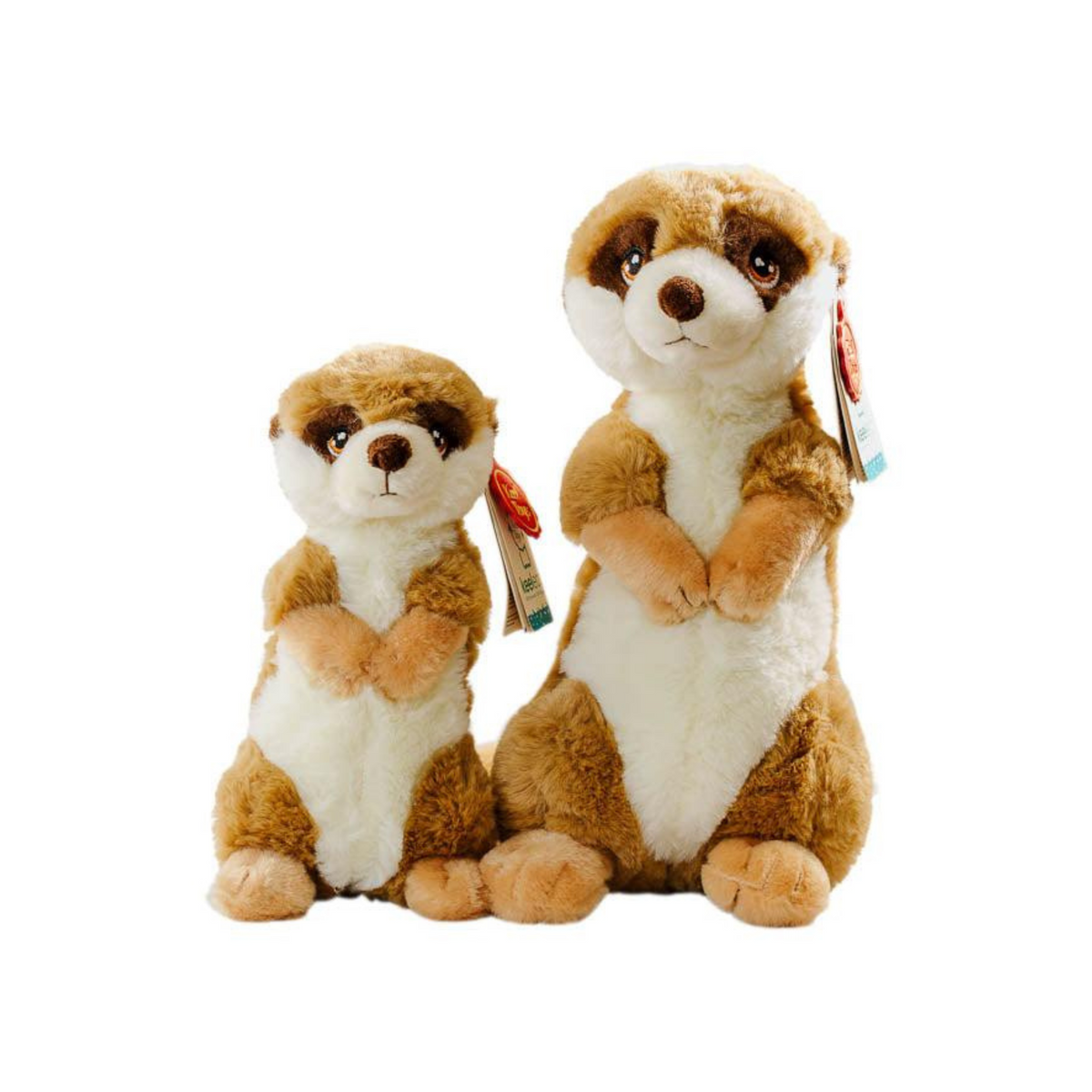 Keeleco Meerkat