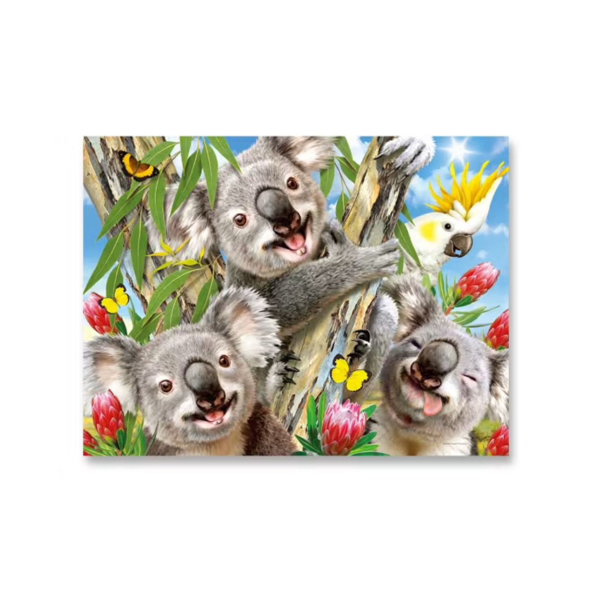 300 Piece Selfies Puzzle - Assorted